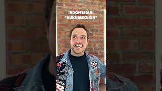 Which one’s your favorite   Loic Suberville