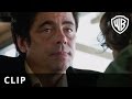 Inherent Vice - "Like Gone But Not Gone" Clip - Official Warner Bros. UK