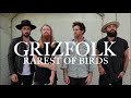 Grizfolk%20-%20Rarest%20of%20Birds