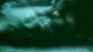 kittie - &quot;safe&quot; (war edition)