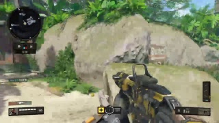［CoD BO4］エンジョイ勢のまったり放送