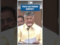 Shorts Andhra CM Chandrababu Naidu Reacts To Union Budget 2025 Nirmala Sitharaman PM Modi