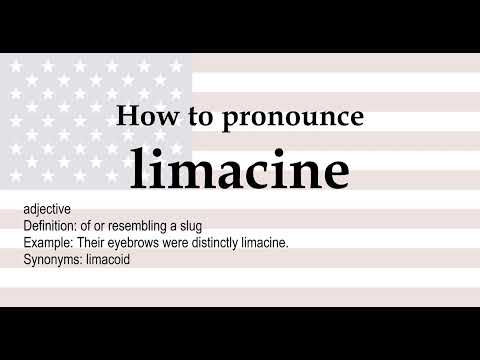 limacine