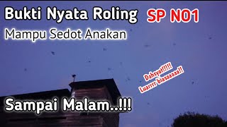 Download lagu Tekhnik!!! SP walet ini mampu menarik anakan sampai magrib. mp3 Download lagu Tekhnik!!! SP walet ini mampu menarik anakan sampai magrib. mp3