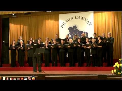 Rondo Histriae - PRED VRATIH POREČA