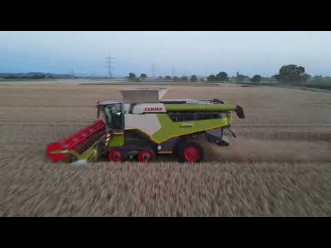 Weizenernte 2023- Claas Lexion 8700 TT und Lexion 580 TT bei Andlauer GBR
