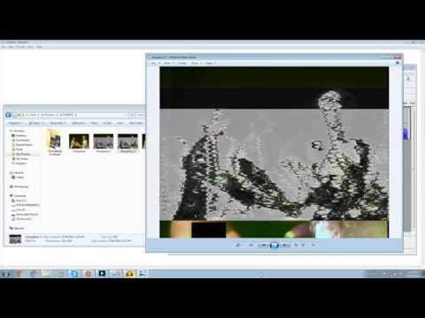 download lagu mp3 mp4 Audacity Images, download lagu Audacity Images gratis, unduh video klip Audacity Images