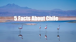5 Amazing Facts About Chile - The Planet D