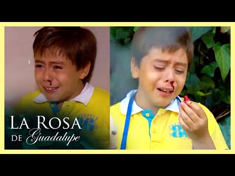 El misterio de la supuesta muerte de Gus | 3/3 | Limpieza en la mirada
