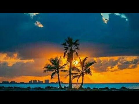 New Ethiopian music 2021 Lyrics Zebiba Girma x Mesay Tefera ዘቢባ እና መሳይ - አዲስ ፍቅር