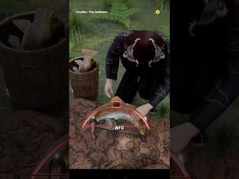 Trucul care ține peștele viu zile întregi fără apă. #romania    #facts   #curiosidades   #fyp