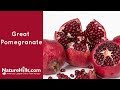 Top 3 Pomegranate Trees  | Naturehills.com