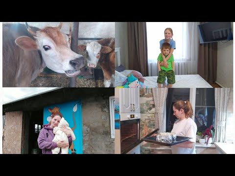 ОПЯТЬ ЖДЁМ ПОПОЛНЕНИЯ! ОЧЕНЬ ВОЛНУЮСЬ...🙈🤱🐄🐓🐖🤗🥧