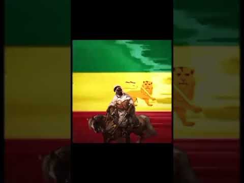 12K ☪️🇸🇴 vs 216K 🇪🇹☦️✝️...#Adalempire #somali #islaminafrica #islamintheworld #hormAfrica#Mocrobian