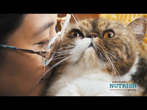 Signs You're A Cat Lady // Presented By BuzzFeed & Rachael Ray Nutrish