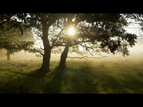 PERRY FRANK | CROWS LABYRINTH // Daylight Sonata [Mare Nostrum Label] // VANISHING EP