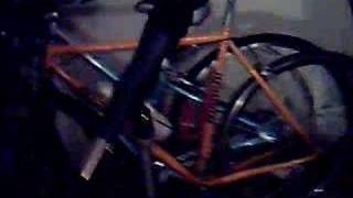 River Fever- Joe Ely