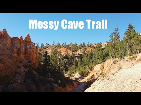 Virtual Hike to Mossy Cave outside of Bryce Canyon National Park