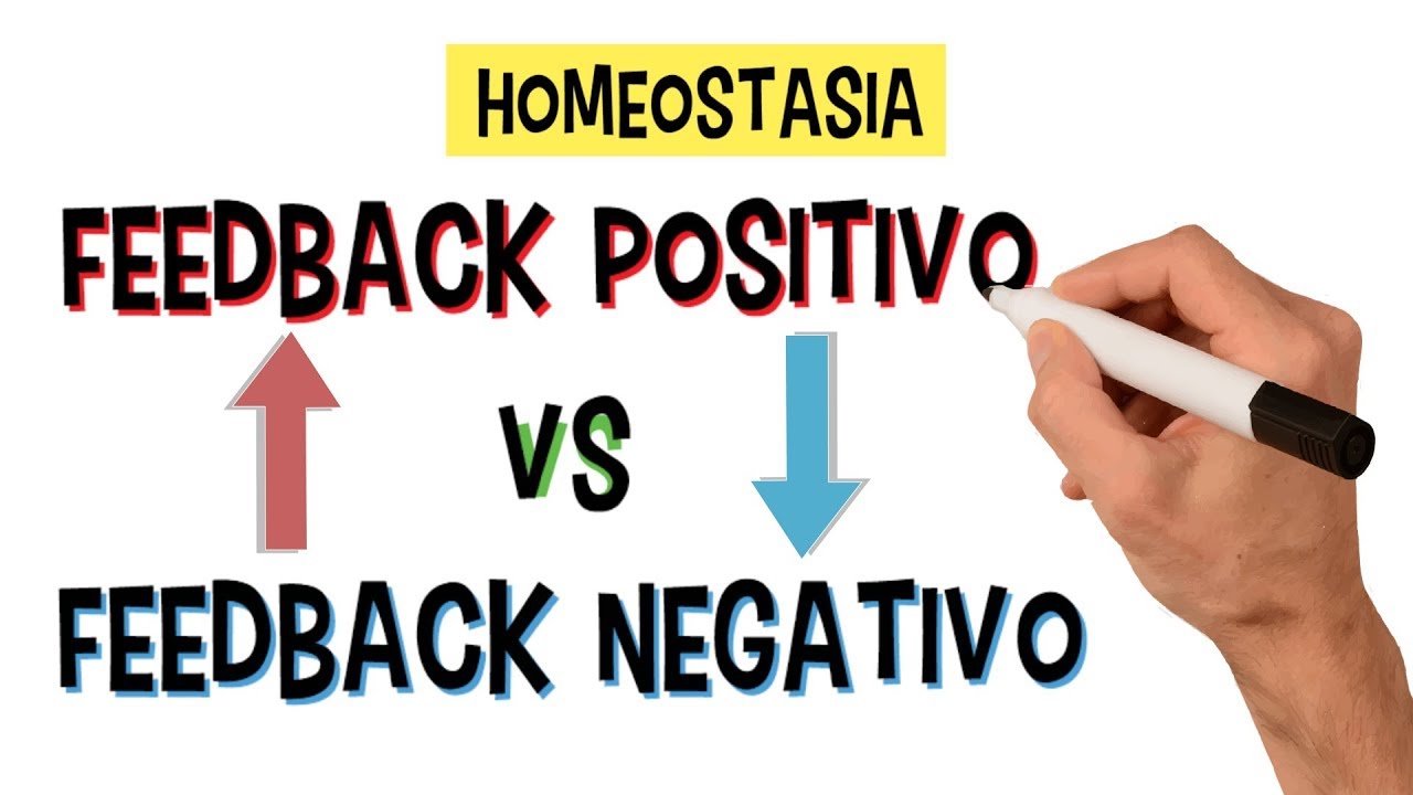 O que é Homeostasia | Feedback Positivo e Feedback Negativo | Mecanismos de Retroalimentação