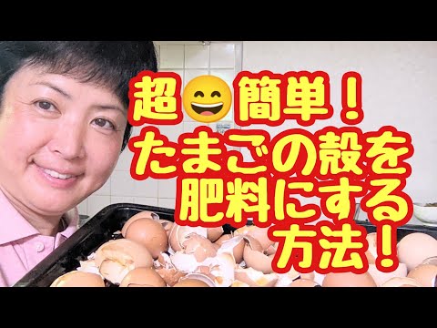 イラクサ肥料のレシピを完成させ、葉に水を加えます