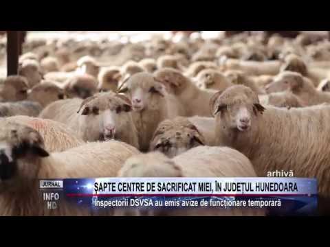 ȘAPTE CENTRE DE SACRIFICAT MIEI, ÎN JUDEȚUL HUNEDOARA