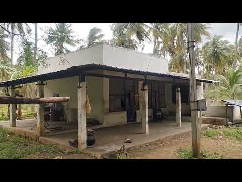  Agricultural Land 60 Sq.ft. for Sale in Rajapalayam, Virudhunagar