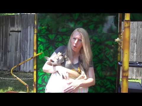 Cuddling with a kangaroo