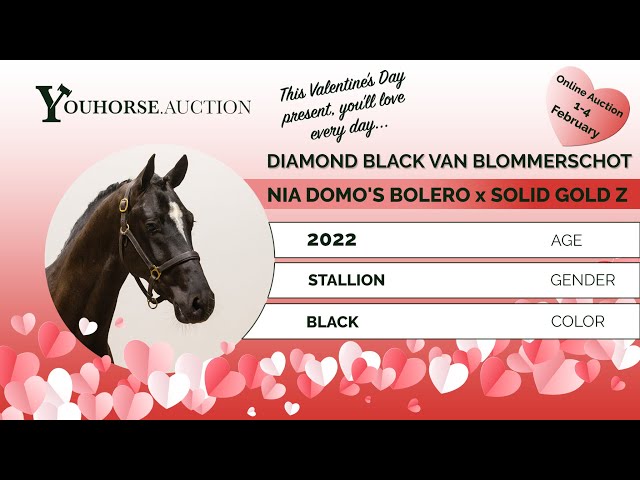 Diamond Black van Blommerschot