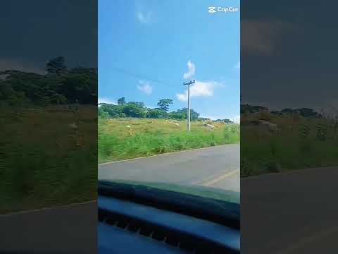 chegando em vanderley Bahia