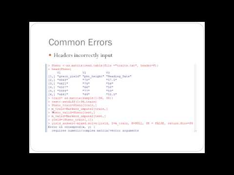 rrBLUP Package Introduction