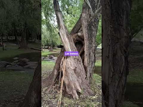Las bateas camino a La Calera un río espectacular..... #turismo