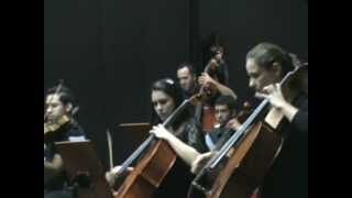 Sinfonia Nº 02 em Ré Maior para Orquestra de Cordas - Allegro Vivace