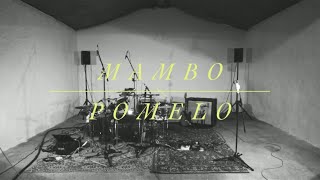 Quadrupède - Mambo Pomelo | Live Session @ Le Pavillon