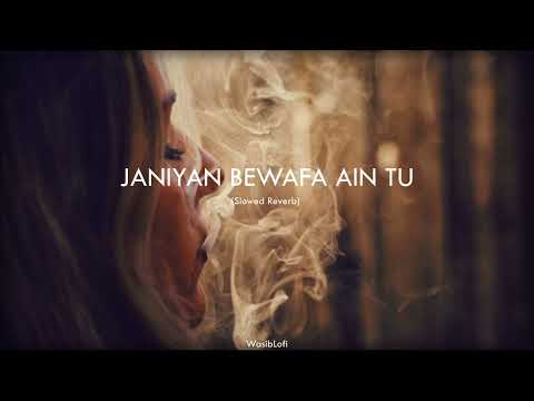Janiyan Bewafa Ain Tu || (Slowed Reverb) - Song
