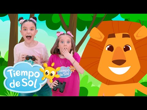 Voy en busca de un león 🦁 y Más Canciones infantiles del Dúo Tiempo de Sol