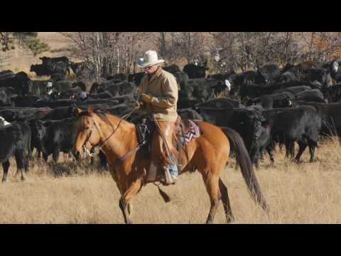 John Moore Horse & Cattle Course USA