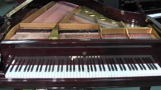 C&#39;est La Vie &quot;Bob Seger&quot; Played on Young Chang Player Piano