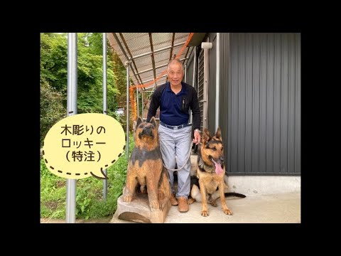 ワンワンU・x・Uお悩み相談室4️⃣8️⃣💠番外編💠〜勝山市「ロッキーくん」＃警察犬🐕‍🦺募集中
