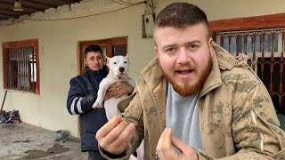 EVİMİ JANDARMALAR BASTI!! - KÖPEKLERİMİ ALACAKLAR MI?