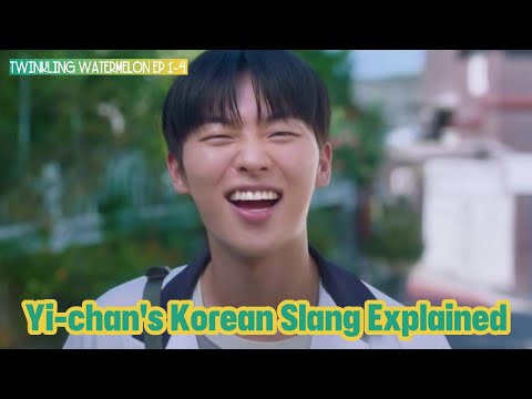 Yi-chan's Best Moments | Korean Slang You Need to Know