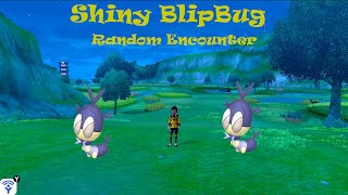 Shiny Blipbug Watch Hd Mp4 Videos Download Free Shiny Blipbug Watch Hd Mp4 Videos Download Free