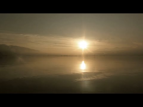 Schroeder-Headz「newdays」