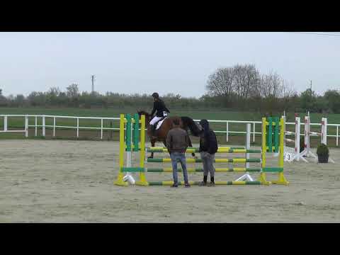 Cassil Casall x Contender