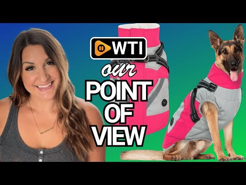 IECOii Large Dog Coat with Harness Built in - Rosered - WTI product video review