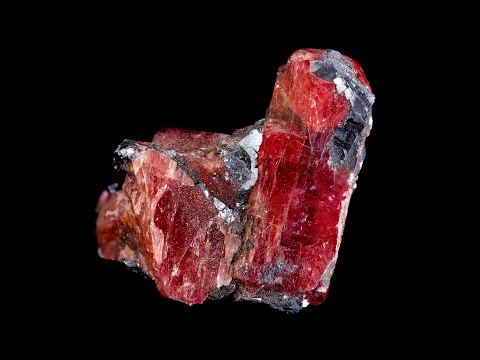 なぜツゲの蛾捕りを作るのですか？万全の予防！  庭園