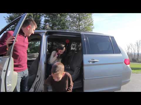 greenfield puppies website