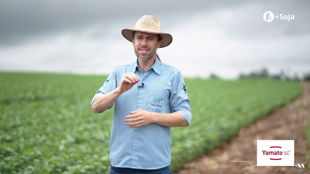 Pós emergentes  Como utilizar  Quais as estratégias de manejo
