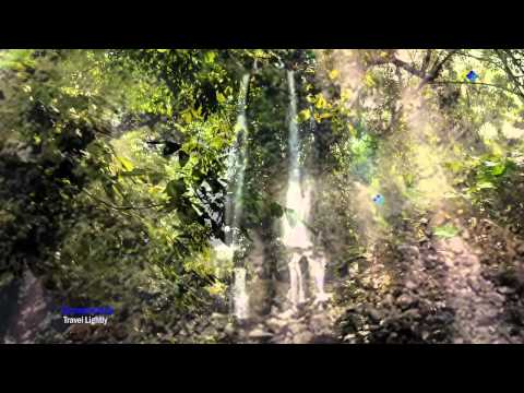 BERNWARD KOCH - Travel Lightly (relaxing, soothing music)