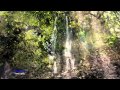 BERNWARD KOCH - Travel Lightly (relaxing, soothing music)