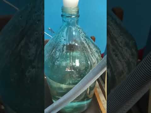 Поступление гидролата при концентрировании сока тыквы ВД-36